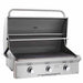 American Outdoor Grill T Series 30 Inch 3 Burner Portable Gas Grill | Warming Rack
