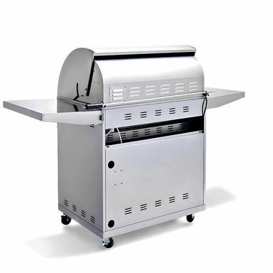 Blaze Professional LUX 34 Inch 3 Burner Freestanding Gas Grill | Rear View