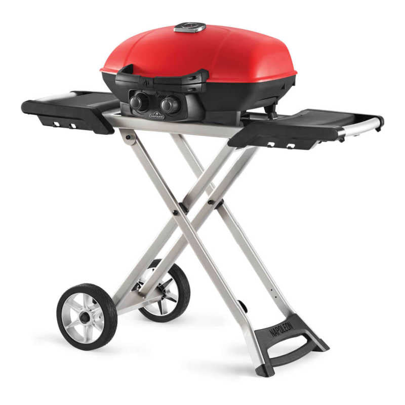 Portable Gas Grills