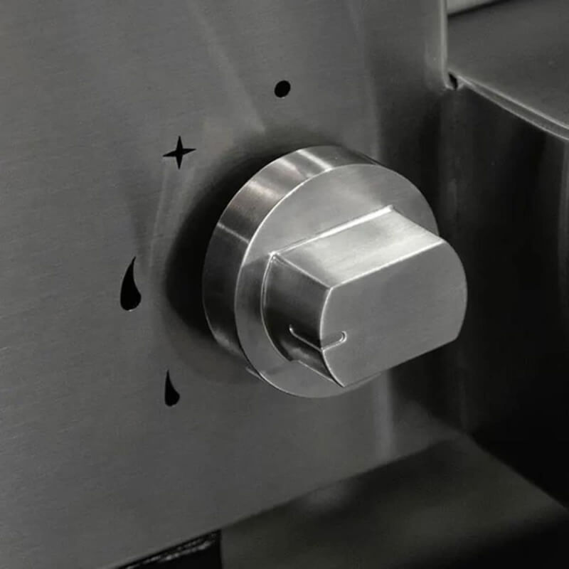 Alfa Classico 2 Pizze Gas Pizza Oven | Gas Control