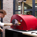 Alfa Moderno 2 Pizze Gas Pizza Oven| Stainless Steel Door