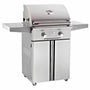 American Outdoor Grill T Series 24 Inch 2 Burner Portable Gas Grill