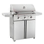 American Outdoor Grill T Series 30 Inch 3 Burner Portable Gas Grill - 30PCT-00SP