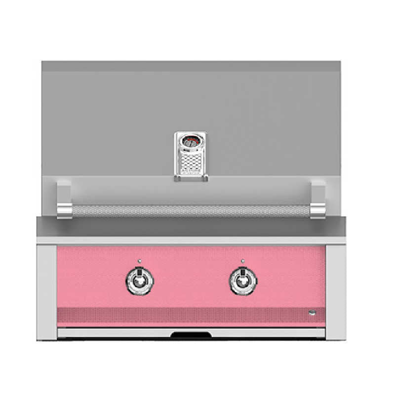 Aspire 30 Inch Built In Grill | Reef