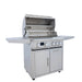 Blaze LTE Pro 32-Inch Freestanding Grill | 304 Stainless Steel