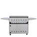 Blaze LTE Pro 40-Inch Freestanding Gas Griddle | Rear View