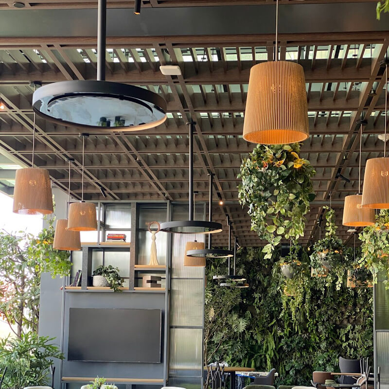 Shown At Restaurant Close Up