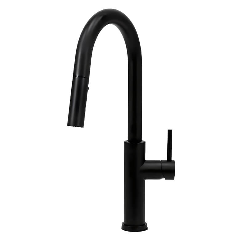 Cameo Matte Black Pull-Down Faucet | Gooseneck Large Pot Design