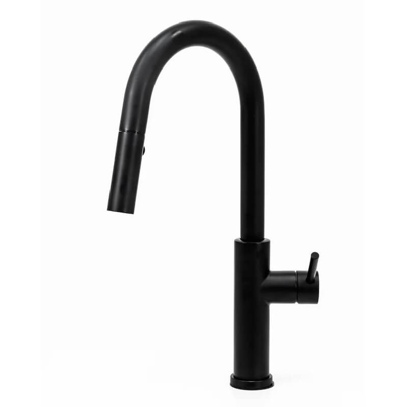 Cameo Matte Black Pull-Down Faucet | Swivel Spout