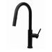 Cameo Matte Black Pull-Down Faucet | Hot and Cold Faucet