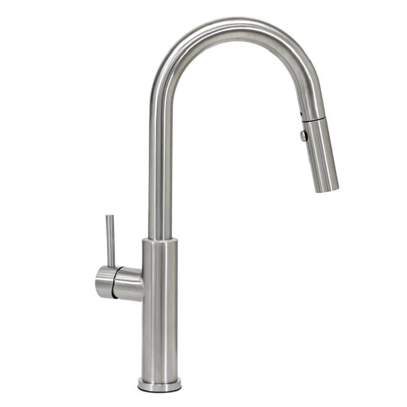Cameo Stainless Steel Pull-Down Faucet | Gooseneck Design