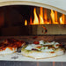 Delta Heat Pizza Oven | Shown with Pizza