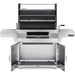 Napoleon Professional Freestanding Charcoal Grill | Double Door Cart Storage