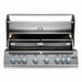 Napoleon 700 Series 6-Burner 44-Inch Built-In Gas Grill | Hood Opened