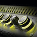 Napoleon Prestige PRO Grill | Yellow LED Lights