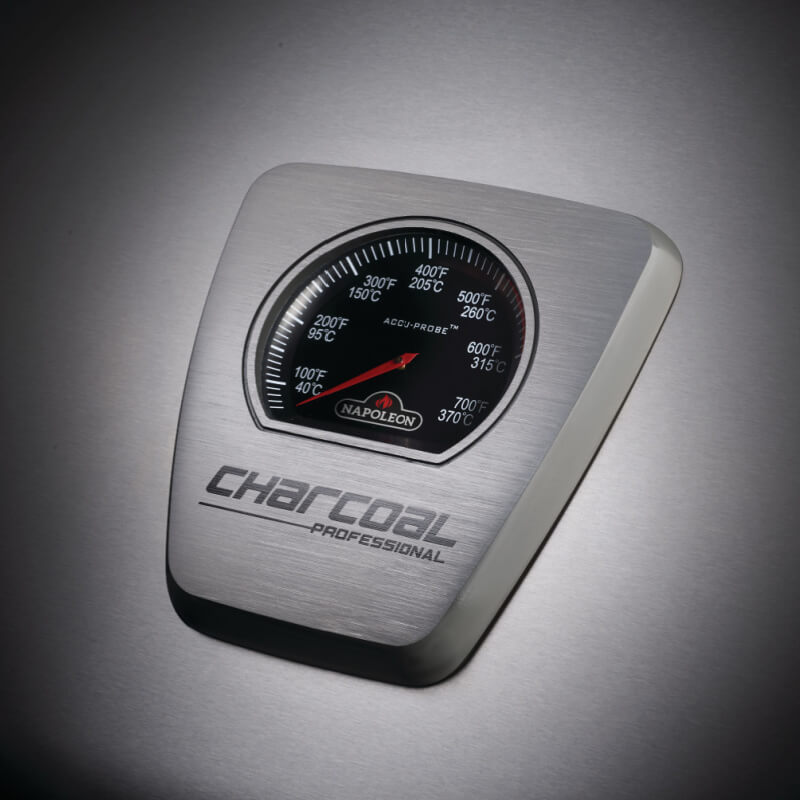Napoleon Professional Freestanding Charcoal Grill | Temp Gauge on Hood