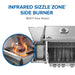 Napoleon Rogue PRO 425 Grill | Sear Burner