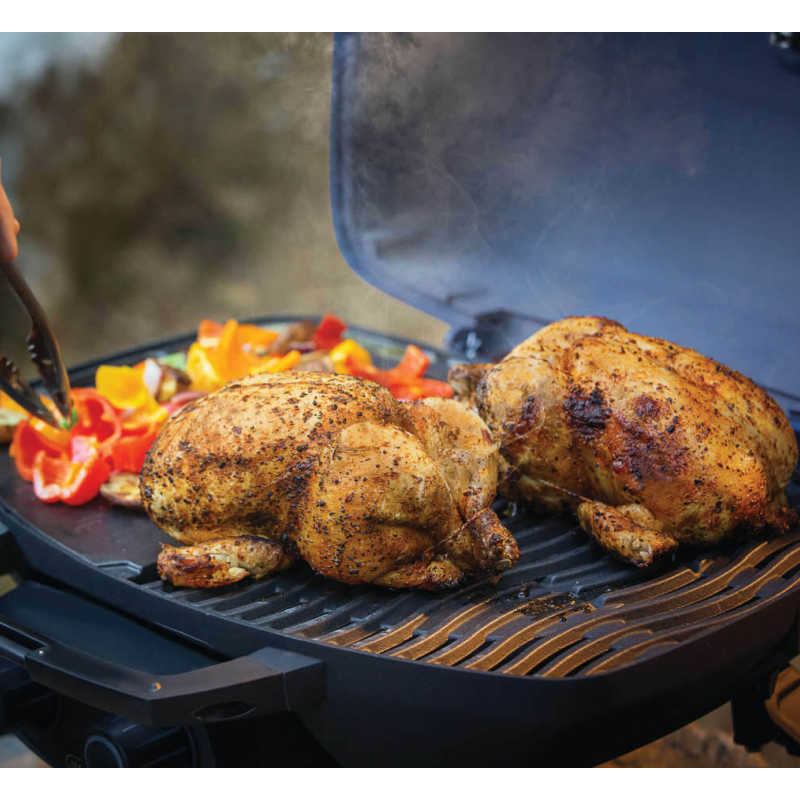 Napoleon TravelQ 285 Portable Propane Gas Grill  | Cast Iron Wave Cooking Grates