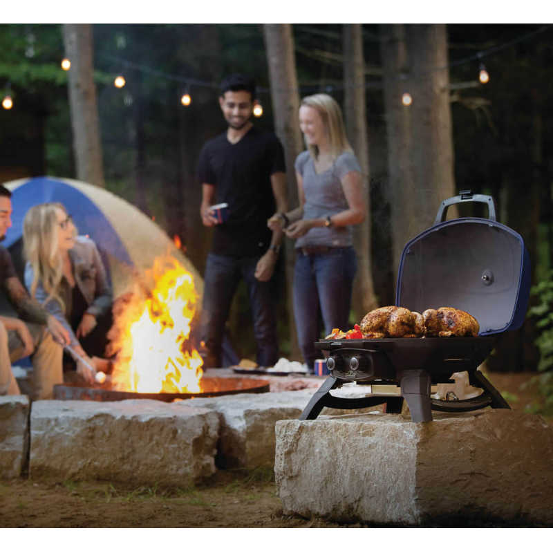 napoleon camping grill Napoleon 12000 BTU 24 Inch Wide Liquid Propane Free Standing Grill