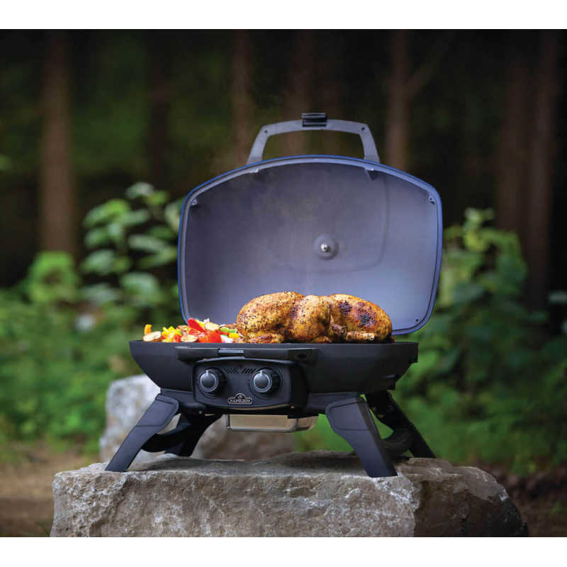 Napoleon TravelQ 285X Portable Propane Gas Grill | Hood Opened