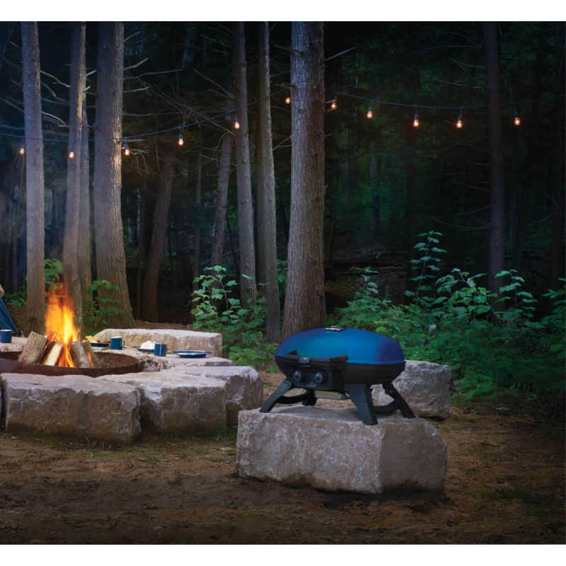 napoleon camping grill Napoleon 12000 BTU 24 Inch Wide Liquid Propane Free Standing Grill
