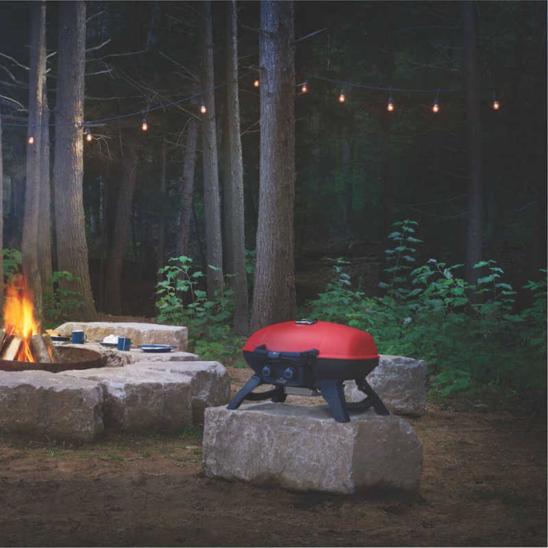 Napoleon TravelQ 285X Portable Propane Gas Grill | Shown At Campsite
