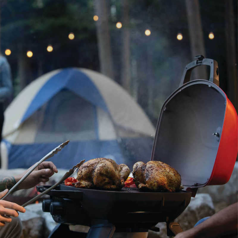 Napoleon TravelQ 285X Portable Propane Gas Grill | Grilling Detail