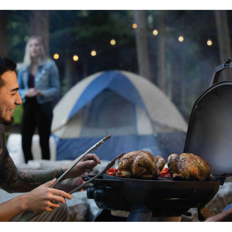 napoleon camping grill Napoleon 12000 BTU 24 Inch Wide Liquid Propane Free Standing Grill