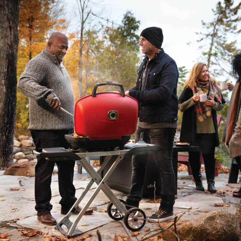 Napoleon TravelQ 285X Portable Propane Grill | Shown Grilling Outdoors