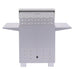 PGS Commercial E-Series 30 Inch Electric Grill on Pedestal | Rear View