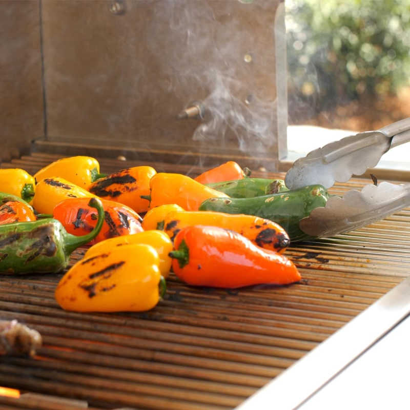 PGS Gas Grill | Grilling Vegetables