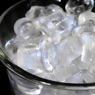 Perlick Signature Series Panel Ready 5 Lb. 15-Inch Outdoor Rated Ice Maker | Clear Ice Cubes