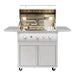 Summerset Quest 36-Inch 3 Burner Freestanding Gas Grill |
 Hood open