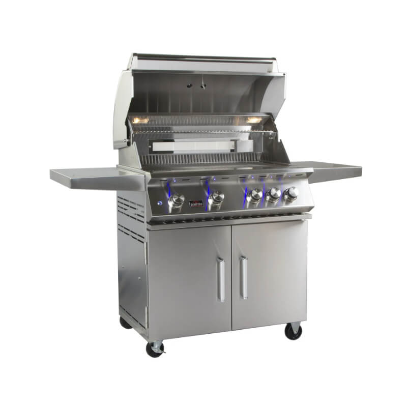 Whistler 4 Burner Freestanding Gas Grill | Grill Hood Opened