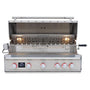 Blaze LTE Pro 40-Inch 5 Burner Built-In Gas Grill