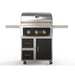 Wildfire Ranch Pro 30 Inch Black 304 Stainless Steel Freestanding Gas Grill - Brushed Stainless Accents | Freestanding Black Cart Bronze Front
