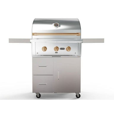 Wildfire Ranch Pro 30-Inch 2-Burner 304 Stainless Steel Freestanding Gas Grill - Brushed Bronze Accents